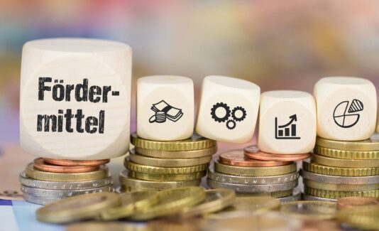 Geförderte Energieberatung in Schleswig Holstein Beitragsbild