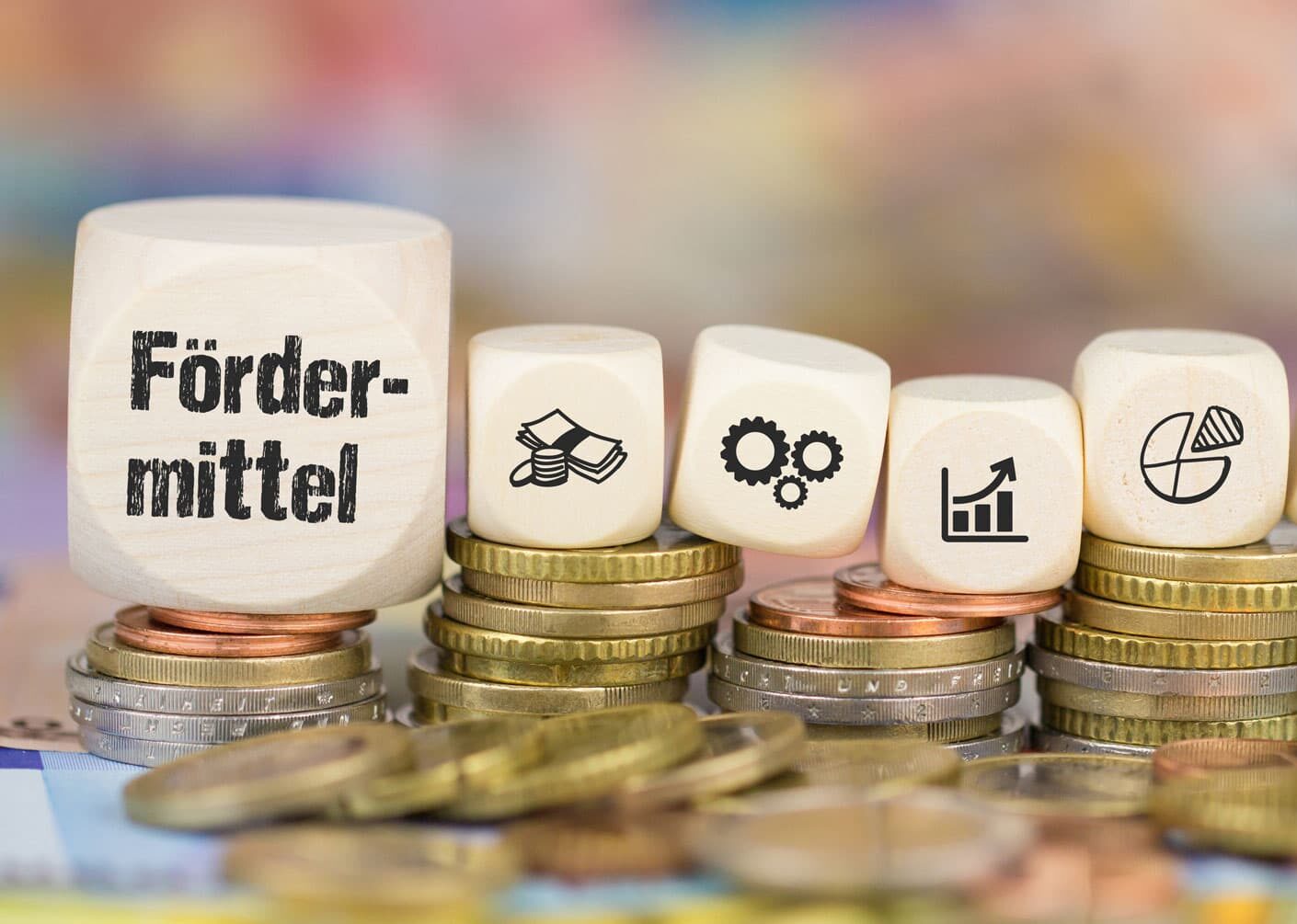 Geförderte Energieberatung in Schleswig Holstein Beitragsbild